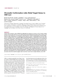 Chromatin Conformation Links Distal Target Genes to CKD Loci