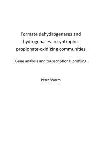 Formate Dehydrogenases and Hydrogenases in Syntrophic Propionate-Oxidizing Communities