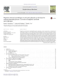 Magnetic Mineral Assemblages in Soils and Paleosols As the Basis for Paleoprecipitation Proxies: a Review of Magnetic Methods and Challenges