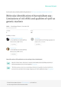 Molecular Identification of Azospirillum Spp.: Limitations of 16S Rrna and Qualities of Rpod As Genetic Markers
