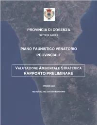 Rapporto Preliminare