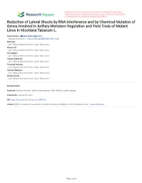 Reduction of Lateral Shoots by RNA Interference and by Chemical