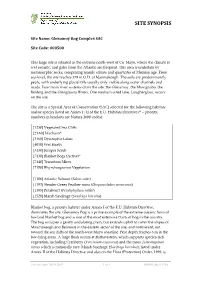 Site Synopsis