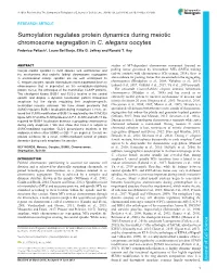 Sumoylation Regulates Protein Dynamics During Meiotic Chromosome Segregation in C