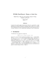 WXML Final Report: Shapes of Julia Sets
