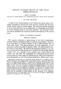 Esting Resemblances Between the Avian and the Reptilian and the Mam- Malian Nuclear Pattern in This Region