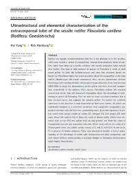 Ultrastructural and Elemental Characterization of the Extracorporeal Tube of the Sessile Rotifer Floscularia Conifera (Rotifera: Gnesiotrocha)