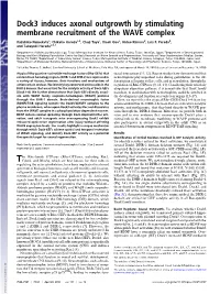Dock3 Induces Axonal Outgrowth by Stimulating Membrane Recruitment of the WAVE Complex