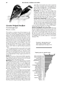 Greater Striped Swallows Are Usurped by the White- Greater Striped Swallow Rumped Swift Apus Caffer (Fry Et Al