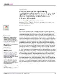 Grouper (Epinephelidae) Spawning Aggregations Affect Activity Space of Grey Reef Sharks, Carcharhinus Amblyrhynchos, in Pohnpei, Micronesia