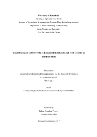 Production Objectives, Trait Preference and Breed Preference of Cattle