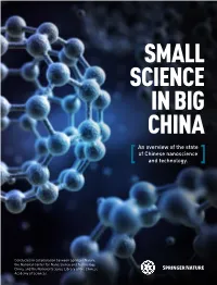 An Overview of the State of Chinese Nanoscience and Technology