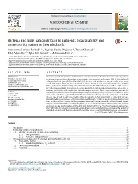 Bacteria and Fungi Can Contribute to Nutrients Bioavailability And