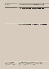 Continuing Need for Support Measures the Independent SAGE Report 44