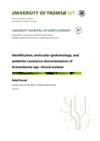 Identification, Molecular Epidemiology, and Antibiotic Resistance Characterization of Acinetobacter Spp