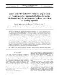 Large Genetic Distances Within a Population of Amphipholis Squamata (Echinodermata; Ophiuroidea) Do Not Support Colour Varieties As Sibling Species