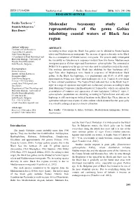 Molecular Taxonomy Study of Representatives of the Genus