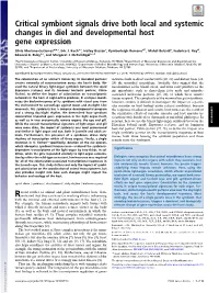 Critical Symbiont Signals Drive Both Local and Systemic Changes in Diel and Developmental Host Gene Expression