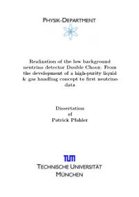 Realization of the Low Background Neutrino Detector Double Chooz: from the Development of a High-Purity Liquid & Gas Handling Concept to ﬁrst Neutrino Data