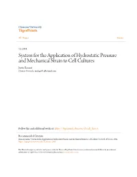 System for the Application of Hydrostatic Pressure and Mechanical Strain to Cell Cultures Justin Bacaoat Clemson University, Mulagat01@Hotmail.Com