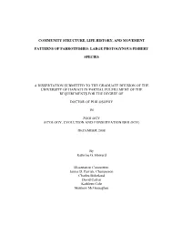 Dissertation Introduction