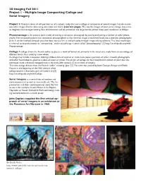 Multiple Image Compositing/Collage and Serial Imagery