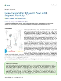 Neuron Morphology Influences Axon Initial Segment Plasticity1,2,3
