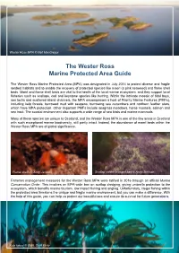 The Wester Ross Marine Protected Area Guide