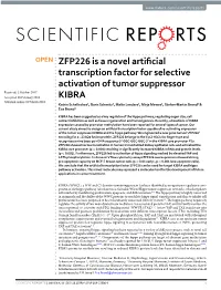 ZFP226 Is a Novel Artificial Transcription Factor for Selective