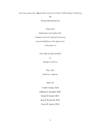 1 Novel Functions of the Flippase Drs2 and the Coat Protein COPI In