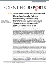 Genome Features and Biochemical Characteristics of a Robust, Fast