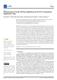 Mechanism of Na-K-Atpase Inhibition by PGE2 in Intestinal Epithelial Cells