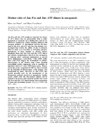 Distinct Roles of Jun : Fos and Jun : ATF Dimers in Oncogenesis