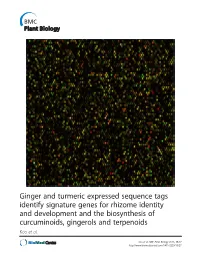 Ginger and Turmeric Expressed Sequence Tags Identify Signature