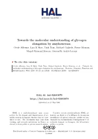 Towards the Molecular Understanding of Glycogen Elongation by Amylosucrase