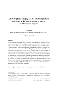 A Test of Optimal Foraging and the Effects of Predator Experience in the Lizards Sceloporus Jarrovii and Sceloporus Virgatus
