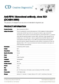 Anti-RPA1 Monoclonal Antibody, Clone 3I21 (DCABH-3680) This Product Is for Research Use Only and Is Not Intended for Diagnostic Use