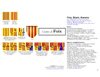 Comtes De Foix