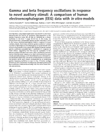 Gamma and Beta Frequency Oscillations in Response to Novel Auditory Stimuli: a Comparison of Human Electroencephalogram (EEG) Data with in Vitro Models