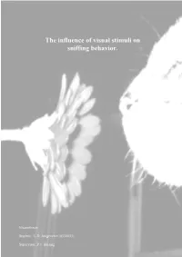 The Influence of Visual Stimuli on Sniffing Behavior