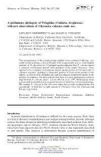 A Preliminary Phylogeny of Pelagiidae (Cnidaria, Scyphozoa), with New Observations of Chrysaora Colorata Comb