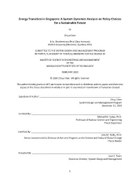 Energy Transition in Singapore: a System Dynamics Analysis on Policy Choices for a Sustainable Future