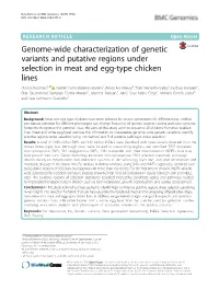 Genome-Wide Characterization of Genetic Variants and Putative