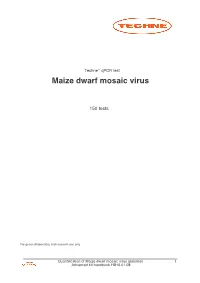 Maize Dwarf Mosaic Virus