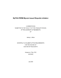 Myth4-FERM Myosin Based Filopodia Initiation