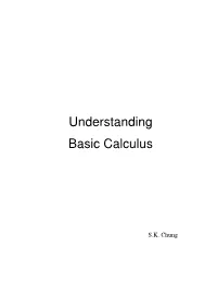 Understanding Basic Calculus