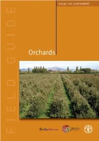 Field Guide Visual Soil Assessment