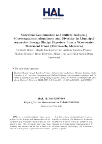 Microbial Communities and Sulfate-Reducing Microorganisms