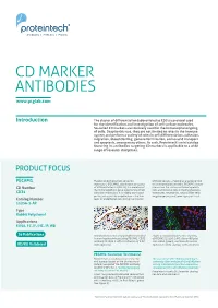 CD Markers Are Routinely Used for the Immunophenotyping of Cells