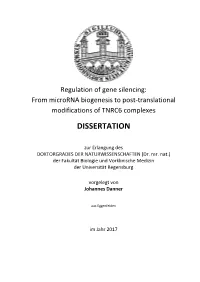 Dissertation